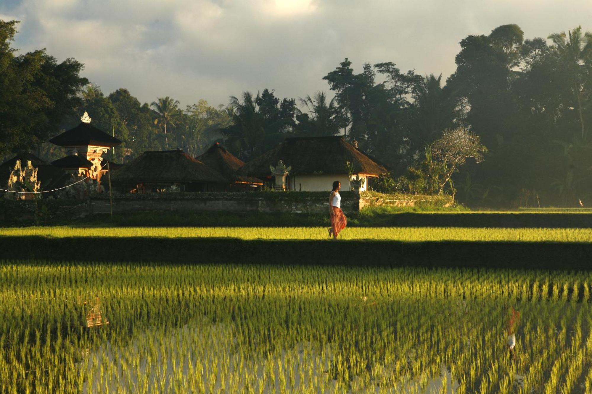 Kayumanis Ubud Private Villas & Spa Konforlar fotoğraf